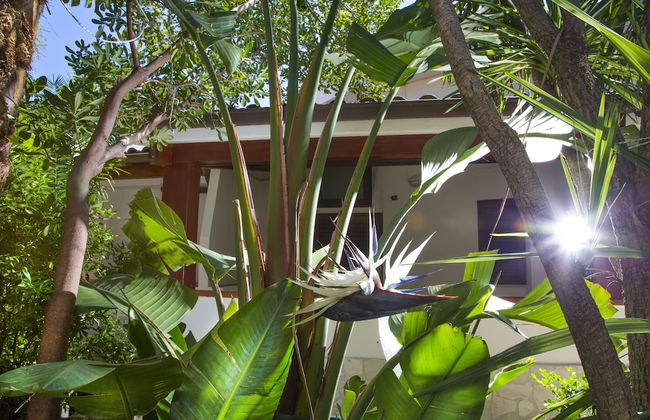 Residence La Conchiglia - Foto 49