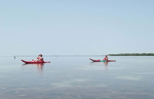 Tour della laguna di Términos in kayak - Foto 3