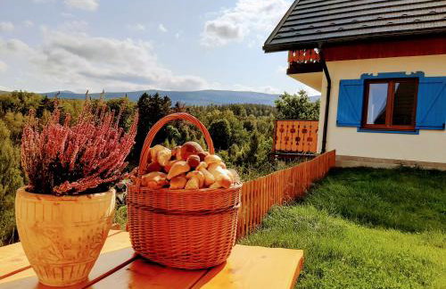 Kolorowe Karkonosze - Foto 29