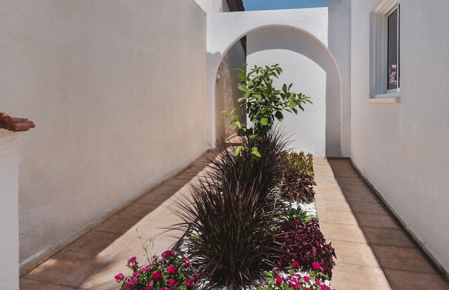 Phaedrus Living Luxury Botanic Residence - Photo 15