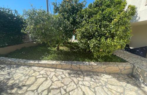 Apartmani Borex - Foto 24