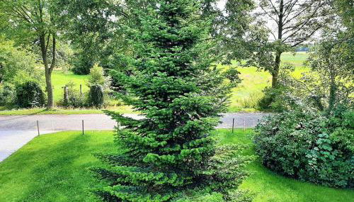 Huus de Freese 35224 - Foto 3