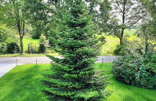 Huus de Freese 35224 - Foto 3