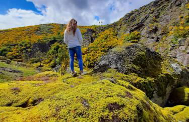 Emily's House - Foto 34