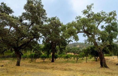 Finca la Arborea - Foto 23