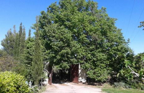 Atelier dei Ciliegi - Foto 21