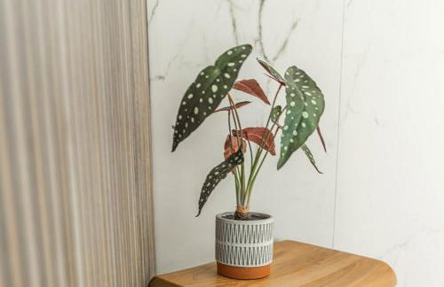 Mountain Calling - Foto 42