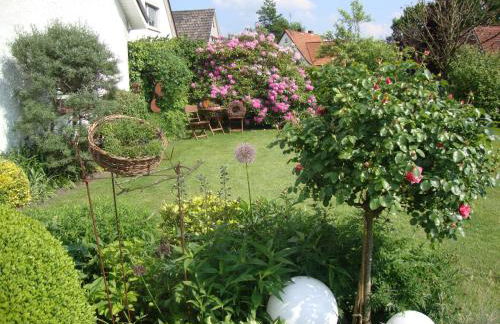 Tauchparadies Kreidesee - Foto 8