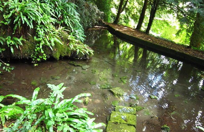 Renovated Castle Apartment With Swimming Pool - Foto 35