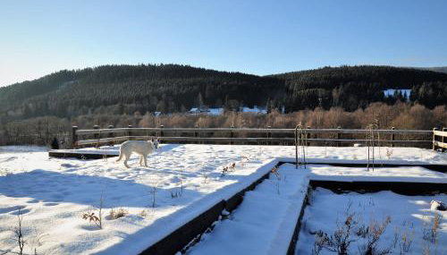 Chata nad Dziką Orlicą z jacuzzi - Foto 4