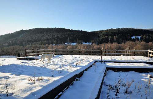 Chata nad Dziką Orlicą z jacuzzi - Foto 4