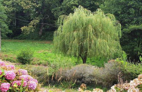 Maison rénovée pierre, jardin, WIFI, 400m mer, St Quay-Perros - FR-1-368-258 - Foto 21