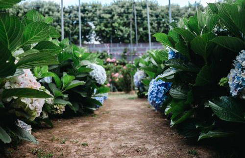 GILS Experience - Photo 51