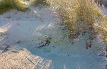 Ferienhaus Laura 70qm bis 5 Gäste mit Fass-Sauna, Whirlpool April bis Oktober, 75qm Terrasse und eingezäunten Garten Haustiere willkommen - Photo 48