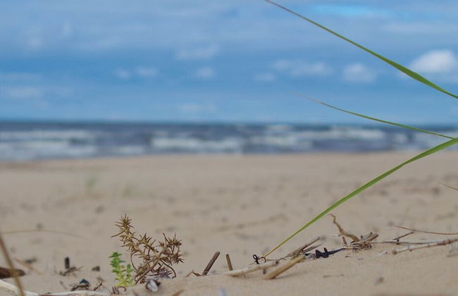 Rabarberi LV - SeaSide Village - Foto 38