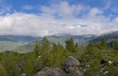 Surfside Beach House near Ancient Redwoods - Foto 15