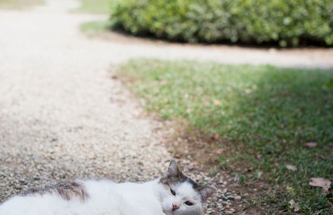 Agriturismo Bio Podere Doganelle - Foto 66