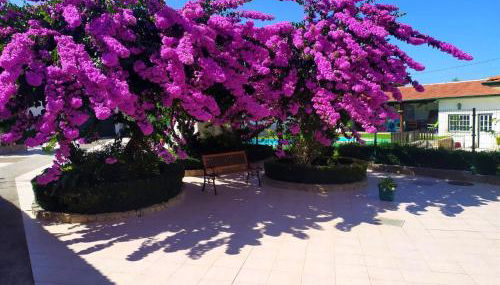 QM - Quinta da Morgadinha - Casa em Quinta Rural - Foto 4, Garden