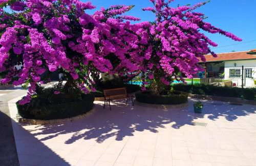 QM - Quinta da Morgadinha - Casa em Quinta Rural - Foto 4