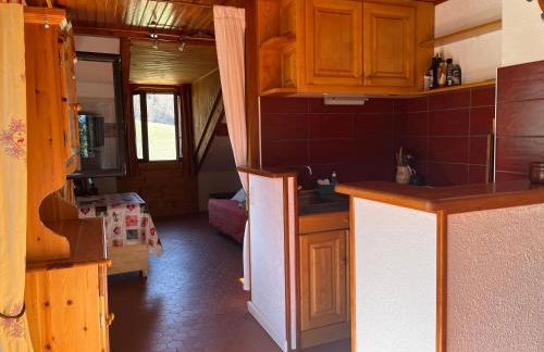 L’écureuil St Léger Les Mélèzes - Photo 10