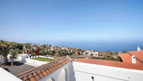 Linaje del Pago Listán Negro - Foto 3