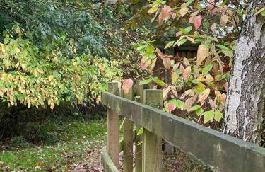 Crafter's Retreat luxury cabin on the Norfolk Cambridgeshire border - Foto 29