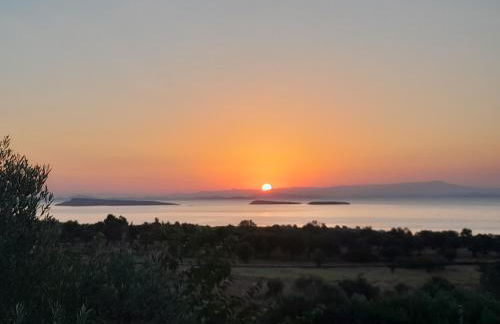 Ktima Apostolou - Photo 6