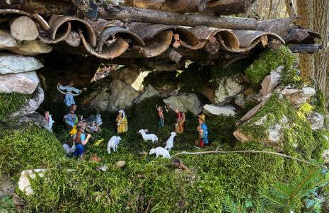 La casa nel bosco - Foto 24