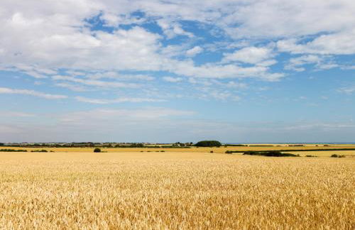 2 Moor Farm Cottages - Foto 21