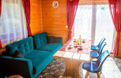 Domki pod Bieniatka w Szczyrku - Foto 41