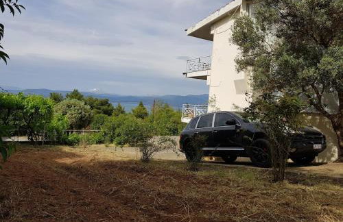 Beachfront House Villa 35min from Athens - Foto 35