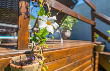 Residencial com Piscina e Jacuzzi com vista para a Natureza - Foto 7