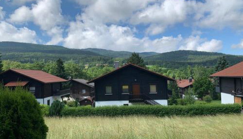 Feriendorf am hohen Bogen Haus 98 EG - Foto 2