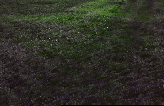 The Palm Apart Sarigerme - Foto 55