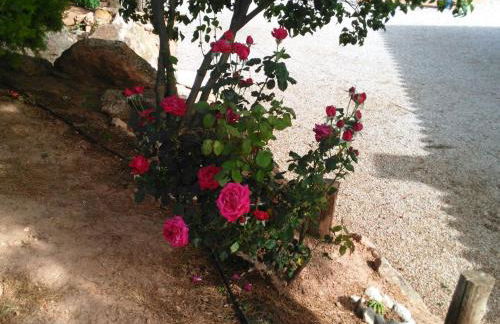 Alojamientos Rurales la Loma - Foto 38