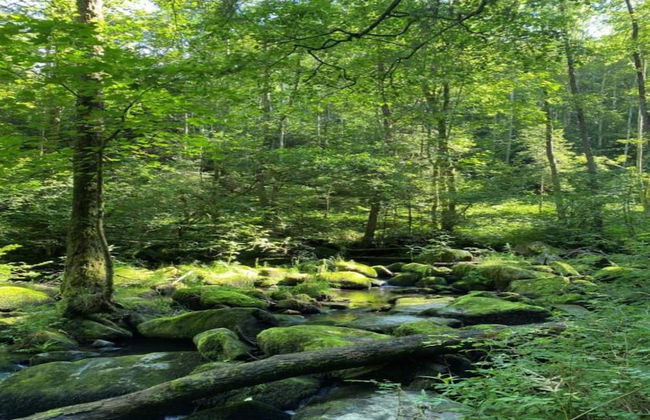 Restful Apartment with Sauna, Hot Tub, Fitness Room, Balcony - Photo 31