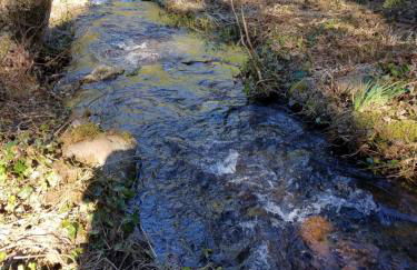 Kanati Falls Ranch - Foto 16