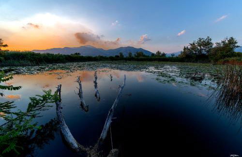 Hostel del Gal - Foto 56