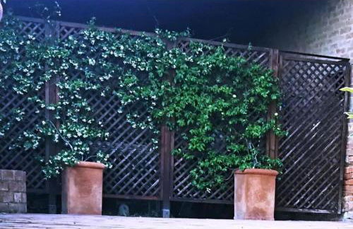 Agriturismo Le Crete - Appartamenti - Foto 49