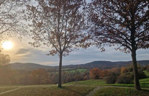 Ferienwohnung Documenta Urbana - Foto 1