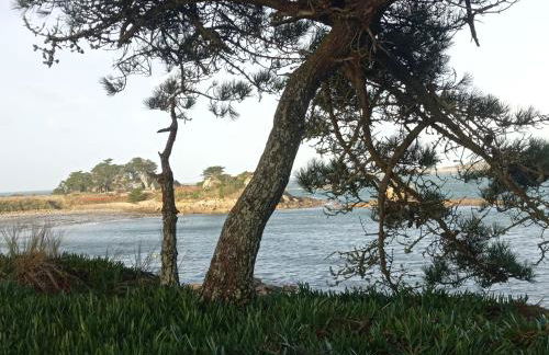 Maison vue mer et campagne - Foto 47