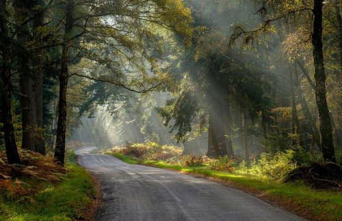 Stunning Luxury Apartment in Central Lymington - Foto 50