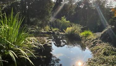 Heide Suite am Waldrand - Foto 2, Garden, Garden view