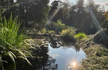 Heide Suite am Waldrand - Foto 2