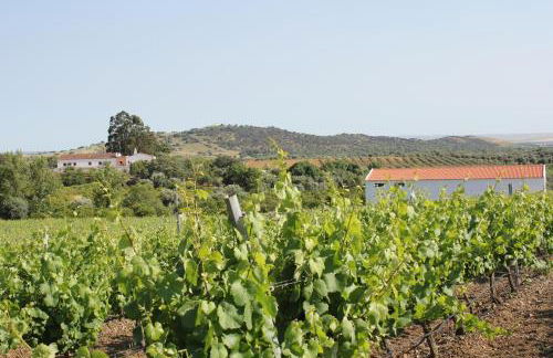 Quinta das Ratoeiras - Foto 25