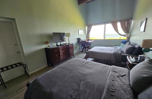 Breathtaking Lake View! Hot Tub! Concerts! - Foto 3