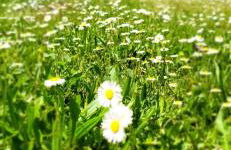 Le Gîte du Nohain - Foto 15