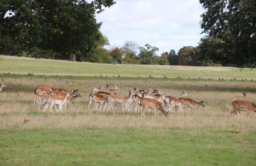 Neat, bright, and convenient. - Foto 5