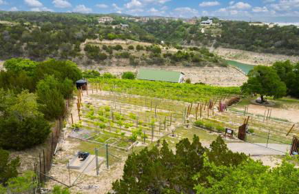 Chardonnay Haus - Unit C - Foto 37