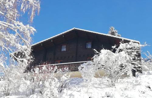 Chalet Paolina proche le Grand Bornand et la Clusaz - Foto 2